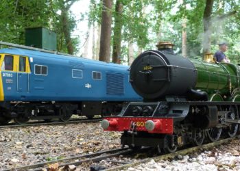 two trains at Pinewood Miniature railway